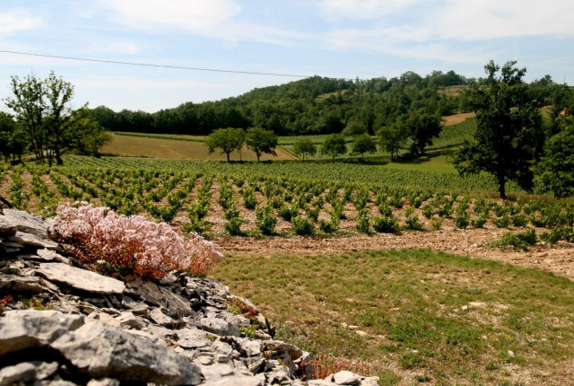 Vignerons de Nature, un gruppo di vignaioli francesi, uniti nel rispetto della natura e dei propri territori!