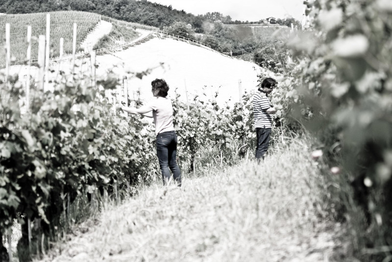 Barbera d'Alba Ferdinando Principiano 2022