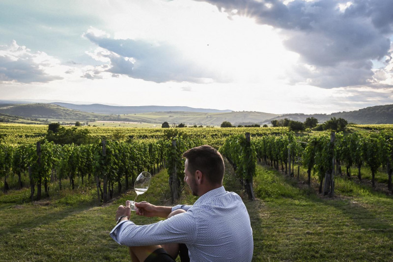 Tokaji Edes Szamorodni 2017