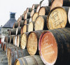 Scotch Whisky Glendronach Traditionally Peated Single Malt 48%