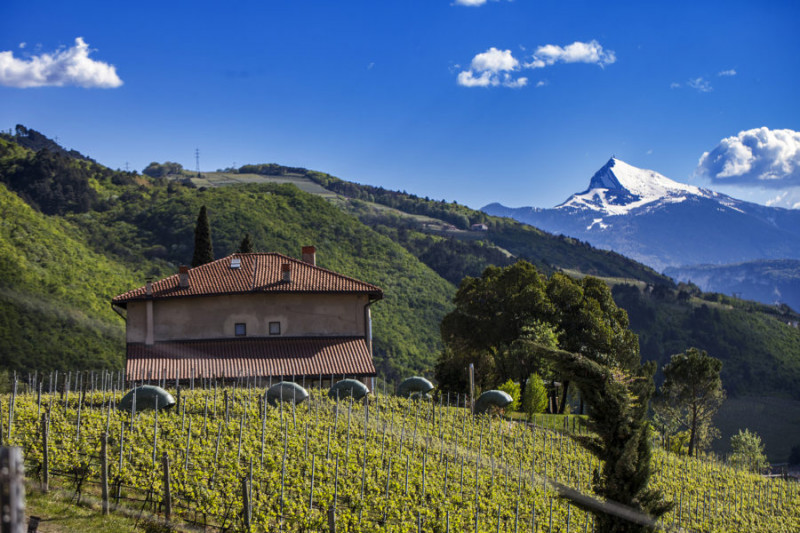 Bellaveder Trentodoc Brut Riserva 2019