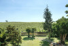 Saumur Chenin Blanc Terres Blanches 2022