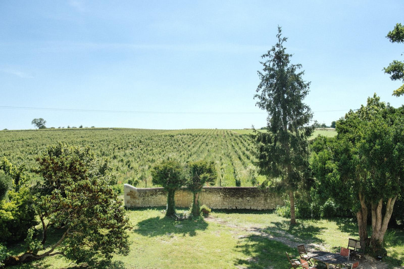 Saumur Chenin Blanc Terres Blanches 2022