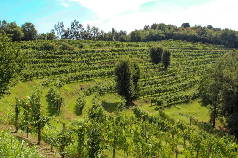 Arcari + Danesi Franciacorta Saten 2018