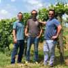 Arcari + Danesi Franciacorta Saten 2016