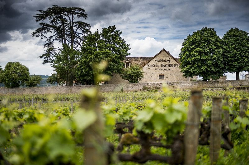 Vincent Bachelet Bourgogne Maranges Premier Cru La Fussière Rouge 2022