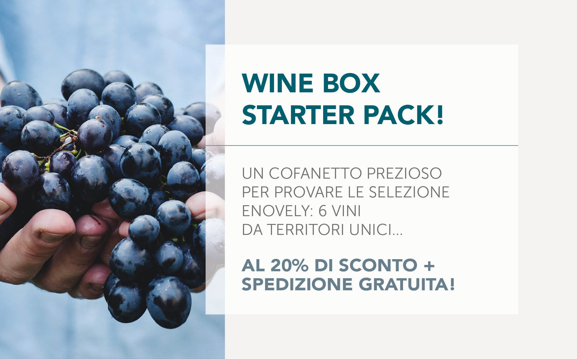 Banner a 2_Wine Box Starter Pack.jpg