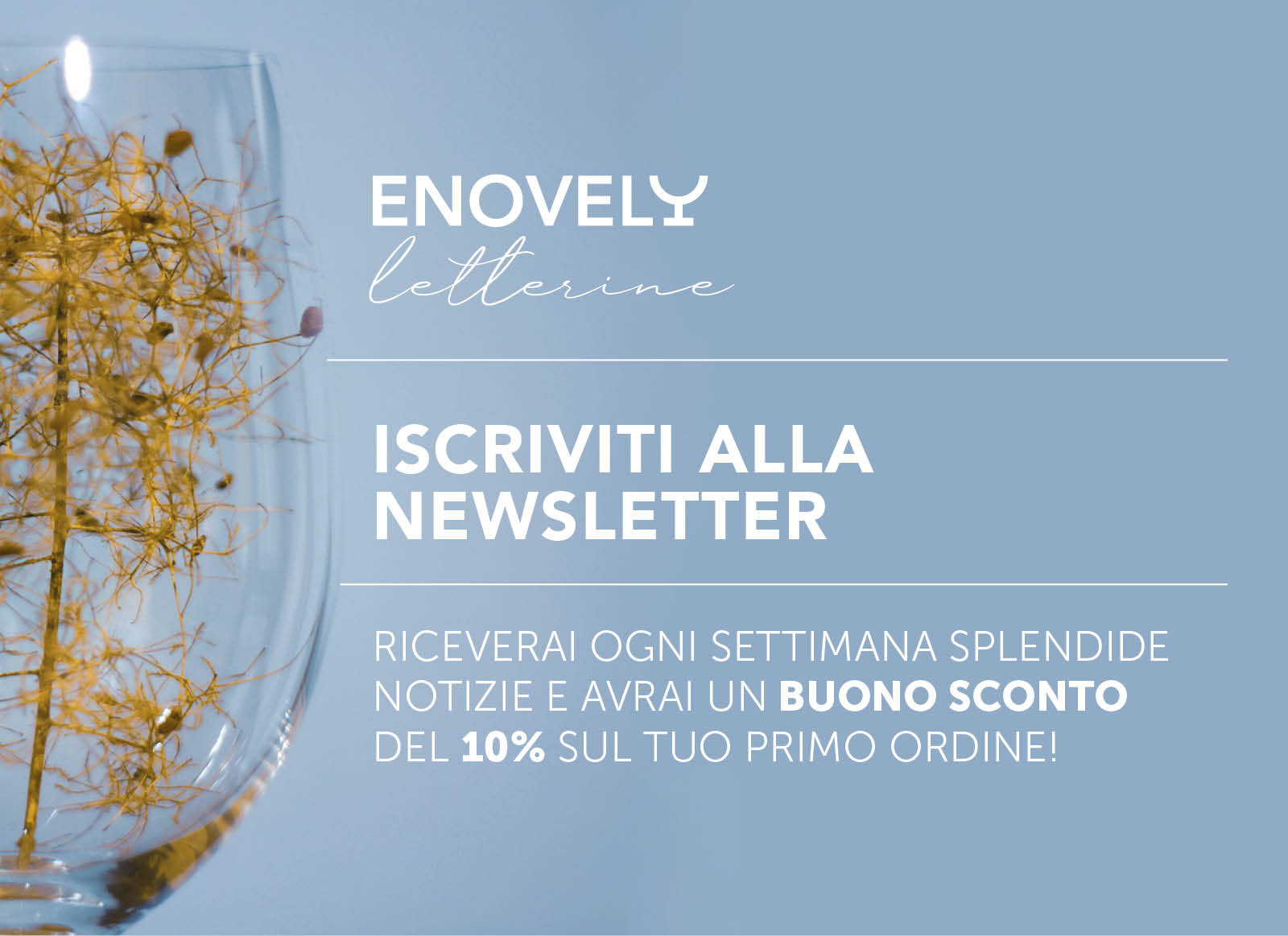 Banner Slide Home mobile_Newsletter.jpg