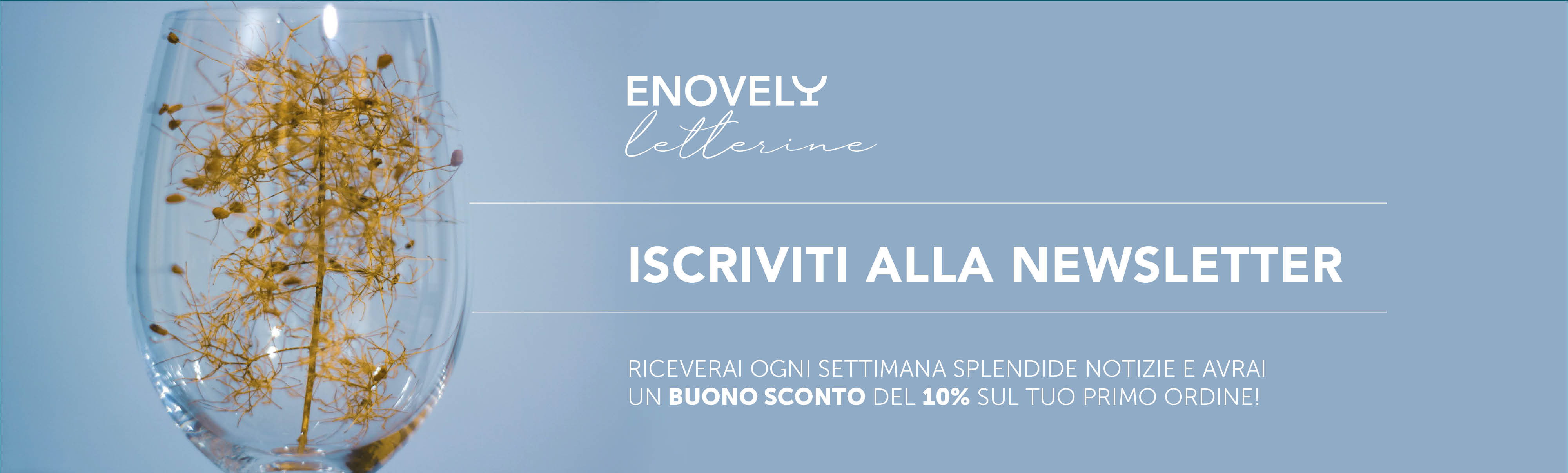 Banner Slide home_Newsletter.jpg