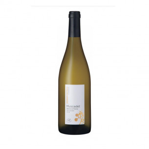 Muscadet Sèvre et Maine "Laures" 2019