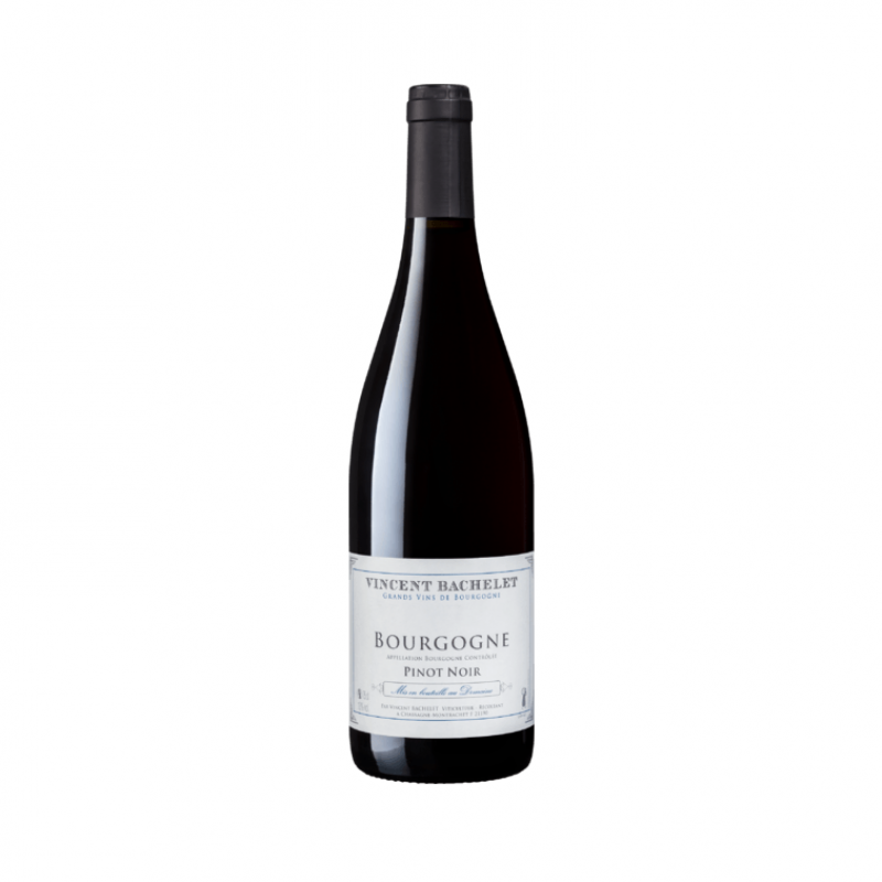 Vincent Bachelet Bourgogne Rouge 2022
