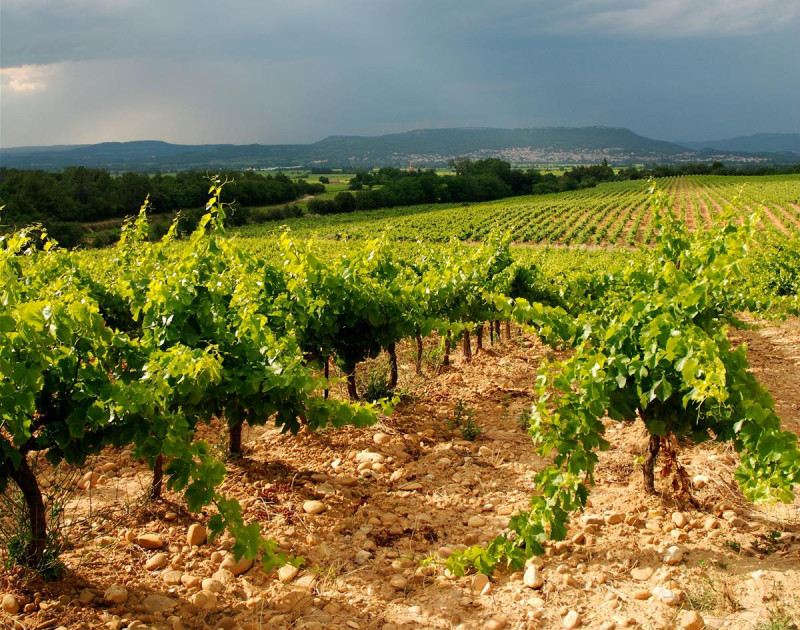 Domaine Duseigneur Chateauneuf-du-Pape Matteo 2022
