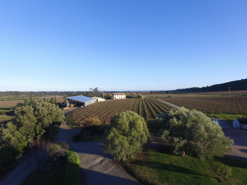 Clos Fornelli La Robe d'Ange Rouge 2019