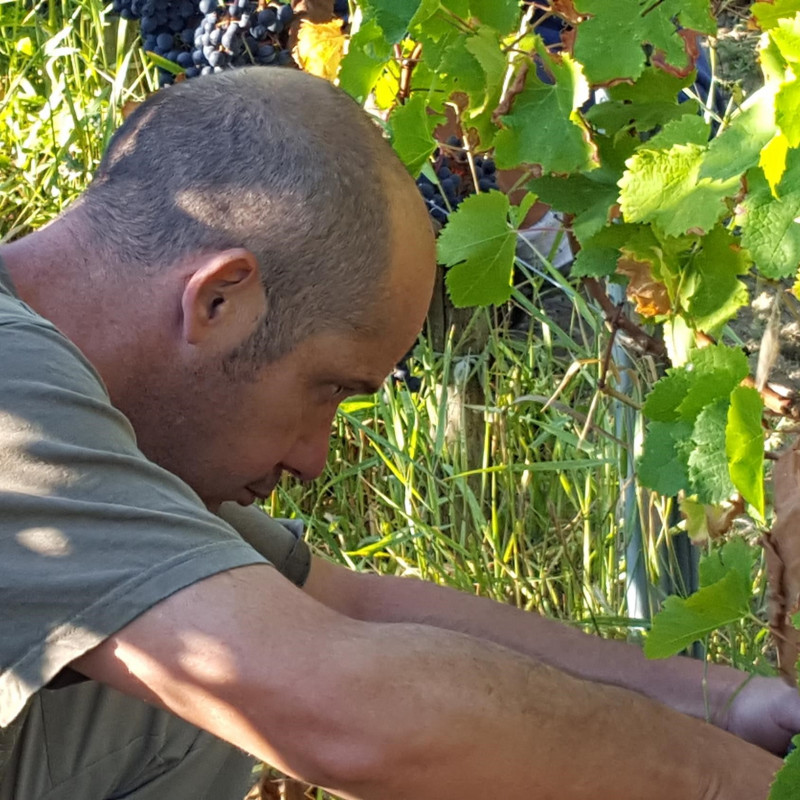 Jean-Yves Millaire Bordeaux Chateau Lamarche Canon 2019