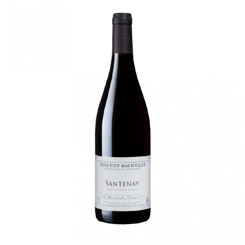 Vincent Bachelet Bourgogne Santenay 2020