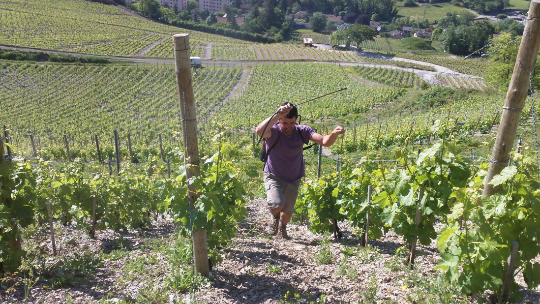 Domaine Adrien Berlioz
