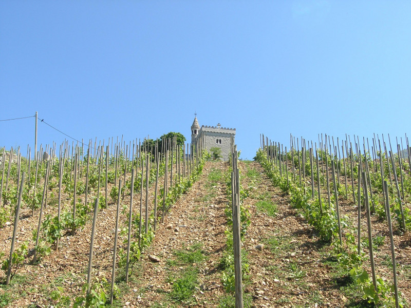 Roussette de Savoie Altesse Zulime 2020