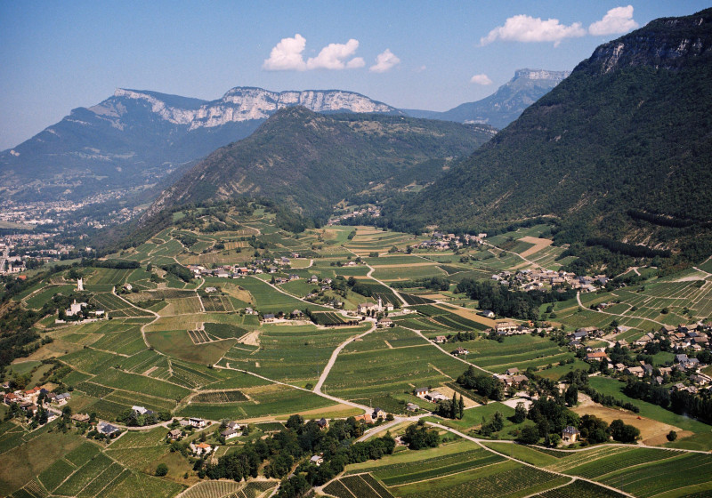 Roussette de Savoie Altesse Zulime 2020