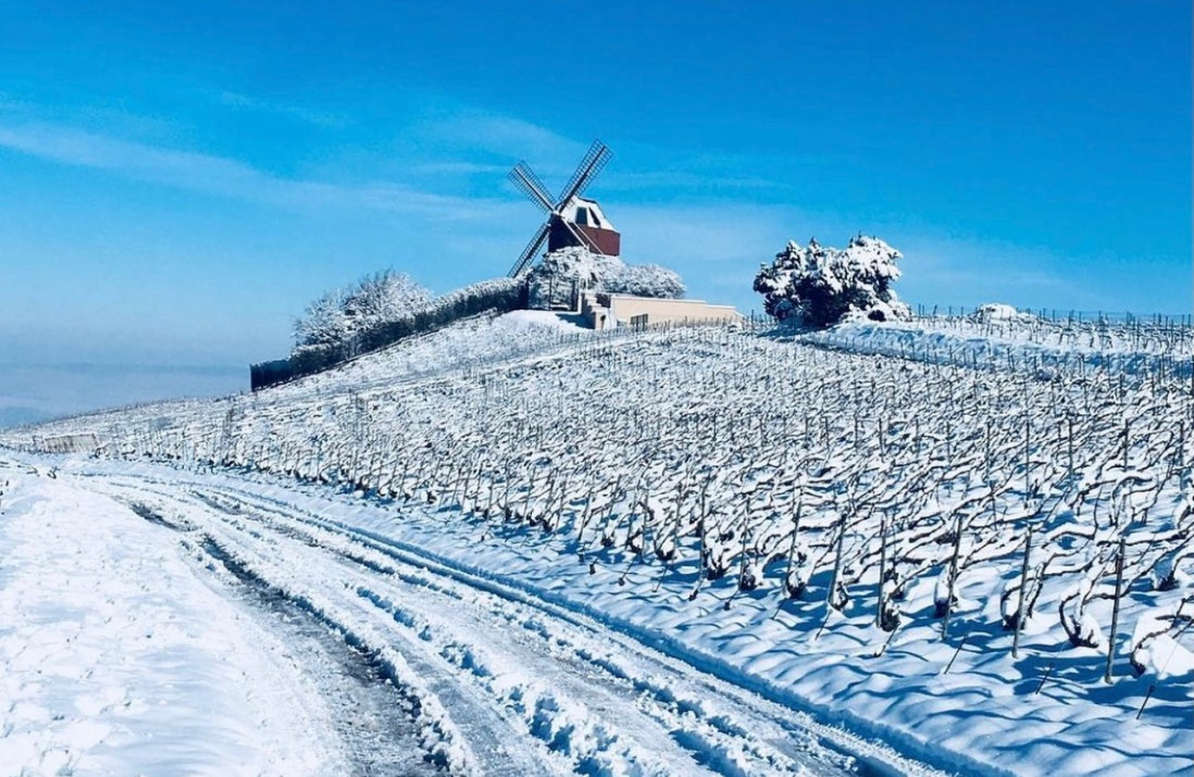 Champagne Adam-Mereaux