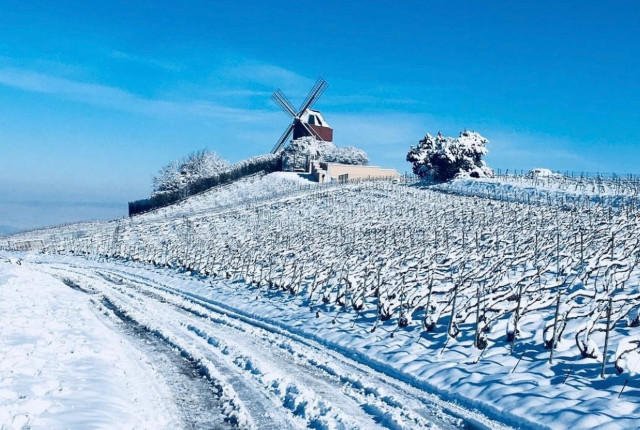 Champagne Adam-Mereaux