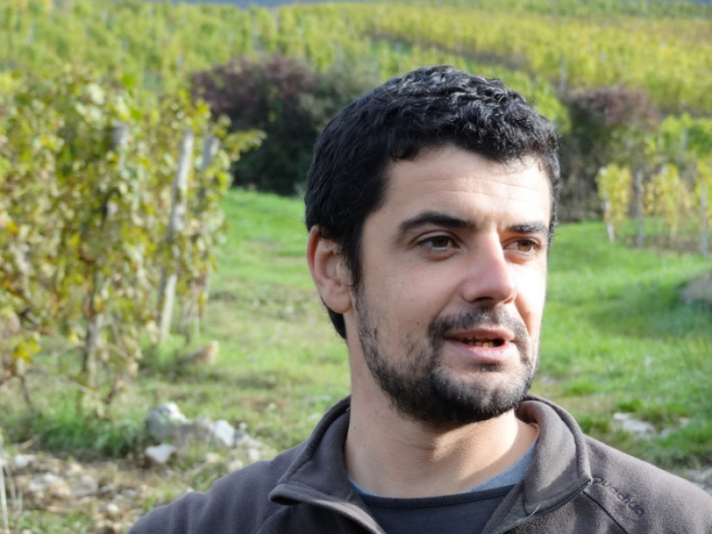 Roussette de Savoie Clémence 2019
