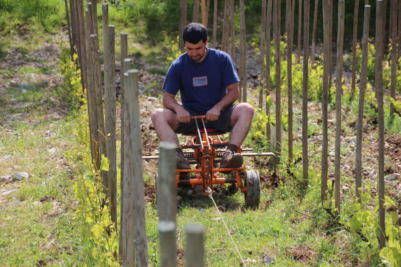 Chignin Bergeron Cuvée Raipoumpou 2019