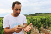 Domaine Christophe Petit Chablis 2022