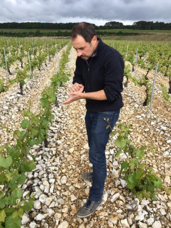 Domaine Christophe Petit Chablis 2022