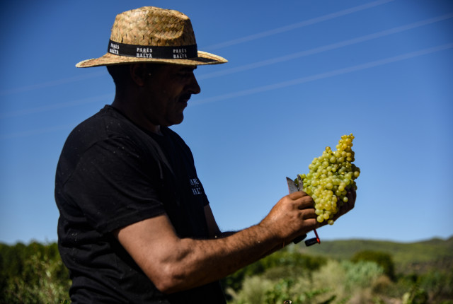 Dal Penedes, in Catalunya, la bella storia di famiglia di Pares Balta