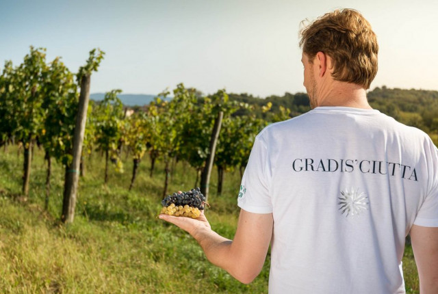 Azienda Agricola Gradis'ciutta