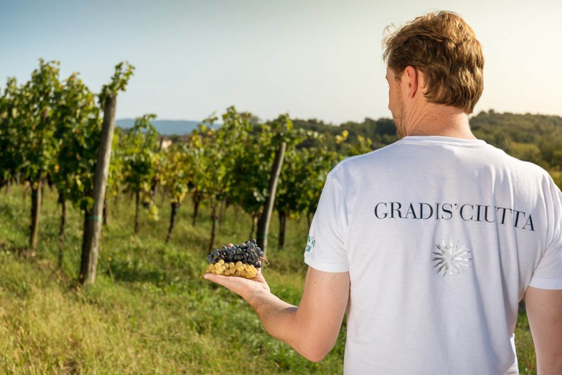 Azienda Agricola Gradis'ciutta