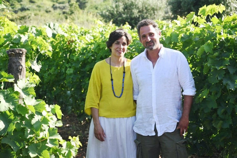 Hibiscus L'isola Bianco 2023
