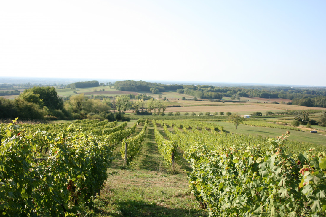 Domaine Eric Thill