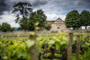 Vincent Bachelet Maranges 1er Cru La Fussiere blanc 2020