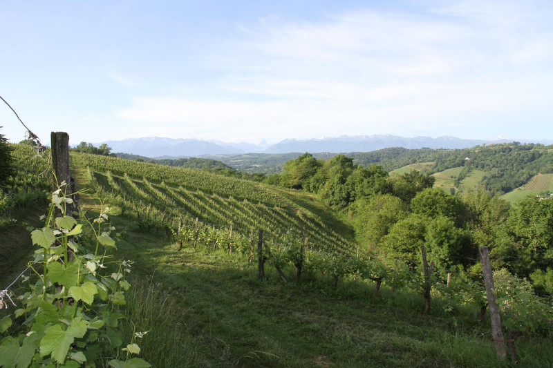 Clos Lapeyre Juranҫon Sec Vintage Vielh 2020