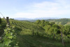 Clos Lapeyre Juranҫon Sec Vintage Vielh 2020