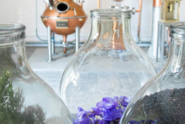 Gin made in Italy, la selezione di Enovely!