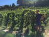 Saint-Joseph Syrah L'Instinct 2022