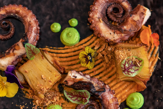 I vini perfetti da abbinare ai tuoi piatti a base di Polpo!