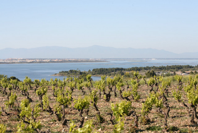 L'affascinante Languedoc-Roussillon
