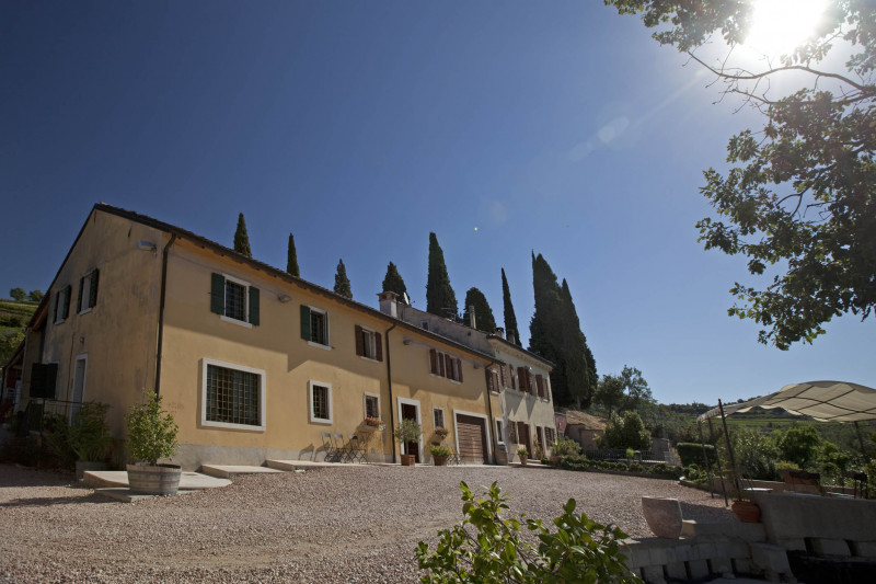 Adalia Valpolicella Laute 2023