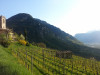 Maso Thaler Alto Adige Sauvignon 2022