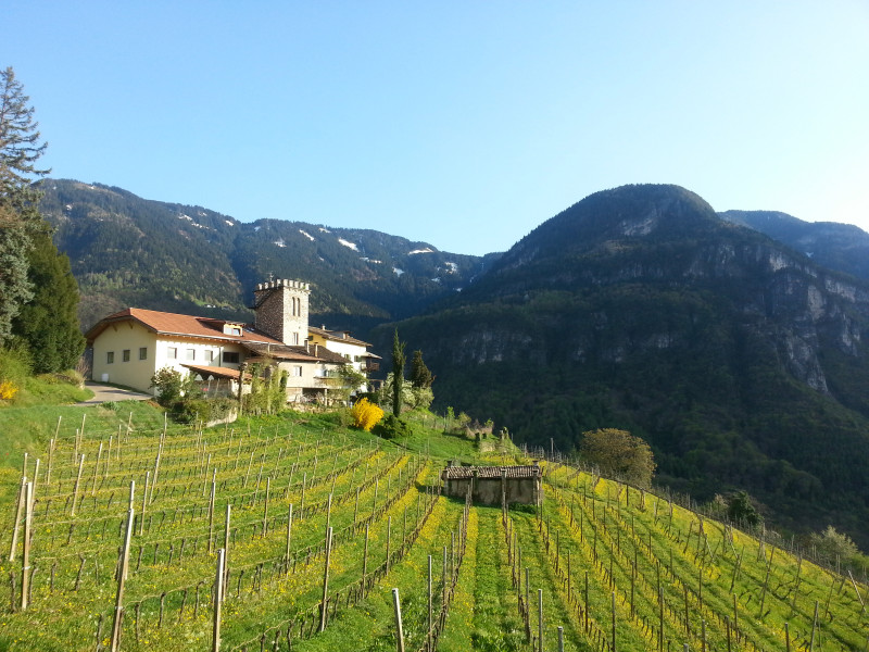 Maso Thaler Alto Adige Pinot Nero 2018