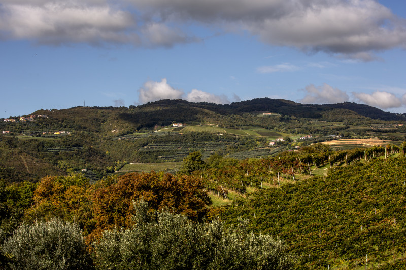 Amarone della Valpolicella Adalia "Ruvlan" 2019