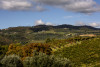Adalia Valpolicella Laute 2023
