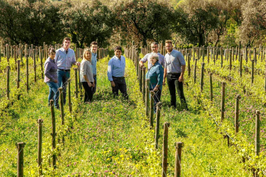 Corte Sant'Alda - Azienda Agricola Camerani