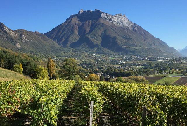 Domaine Jean Vullien