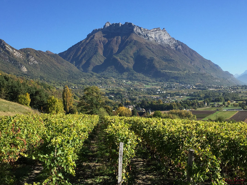Domaine Jean Vullien Roussette de Savoie 2021