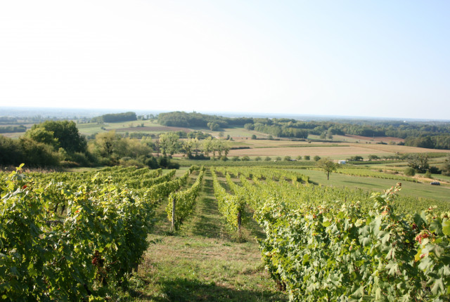 Il fascino dello Jura, un territorio fortemente legato alle antiche tradizioni vitivinicole locali! 