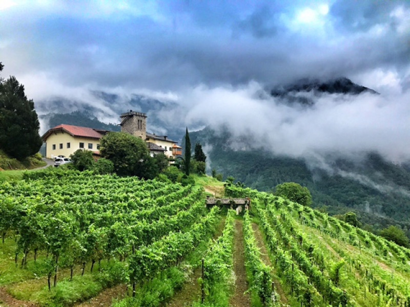 Maso Thaler Alto Adige Sauvignon 2022